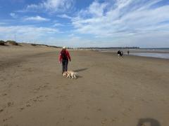 Low tide walk on the beach towards South Pier